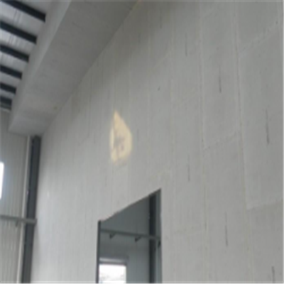 贵定宁波ALC板|EPS加气板隔墙与混凝土整浇联接的实验研讨